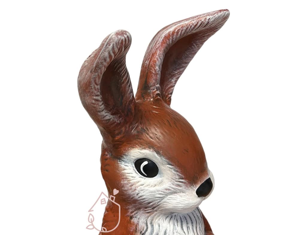 Zajíc Lepus